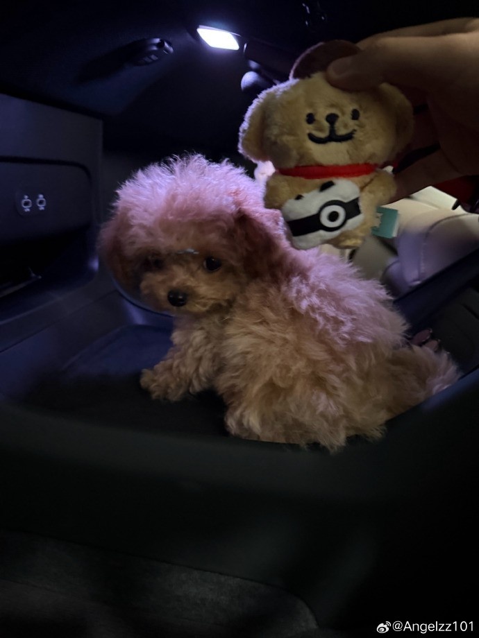 Angel赛后晒聚餐图：大家冬至快乐！德杯三连胜了来吃个泰料